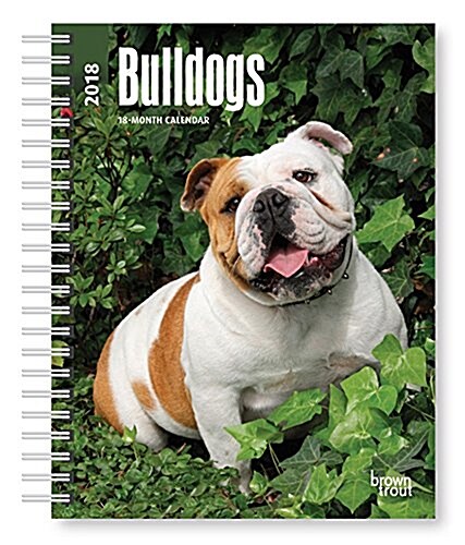 Bulldogs 2018 Calendar (Calendar, Engagement)