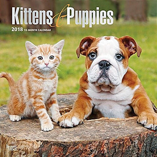 Kittens & Puppies 2018 Calendar (Calendar, Wall)