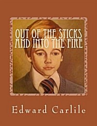 Out of the Sticks and into the Fire: The way the wind flies (Paperback)