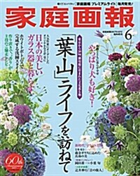 家庭畵報 プレミアムライト版 2017年 06 月號 (家庭畵報 增刊) (雜誌, 不定)