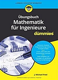 UEbungsbuch Mathematik fur Ingenieure fur Dummies (Paperback)