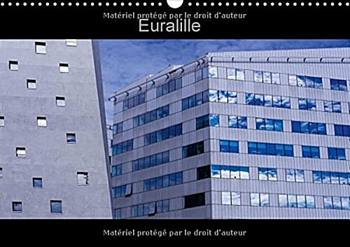 Euralille 2018 : Le Nouveau Quartier Des Affaires, Euralille, Et Ses Vues Inedites (Calendar, 3 ed)