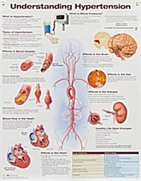 Understanding Hypertension (Poster, 2 Rev ed)