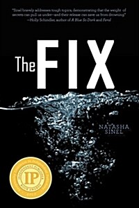 The Fix (Paperback)