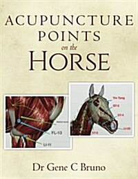 Acupuncture Points on the Horse (Paperback)