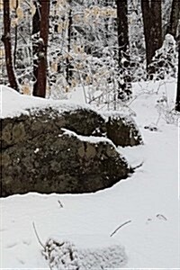 Winter Journal Rock Snowy Forest: (Notebook, Diary, Blank Book) (Paperback)