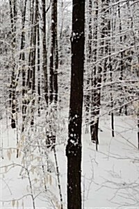 Winter Season Journal Forest: (Notebook, Diary, Blank (Paperback)