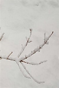 Winter Journal Pretty Branch: (Notebook, Diary, Blank Book) (Paperback)
