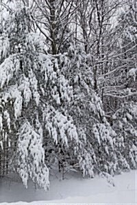 Winter Journal Breathtaking Snow Photo: (Notebook, Diary, Blank Book) (Paperback)