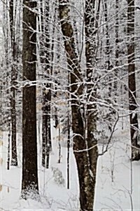 Winter Season Journal Pretty Woods: (Notebook, Diary, Blank Book) (Paperback)