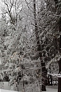 Winter Season Journal Snowy Forest: (Notebook, Diary, Blank Book) (Paperback)