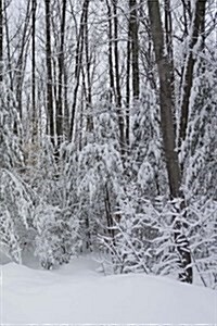 Winter Journal Snowy Forest Scene: (Notebook, Diary, Blank Book) (Paperback)