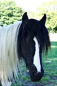 Totally Gorgeous Black and White Pony Portrait Journal: 150 Page Lined Notebook/Diary (Paperback)