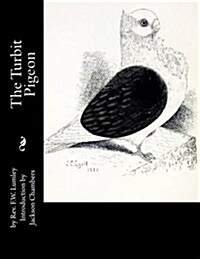 The Turbit Pigeon (Paperback)