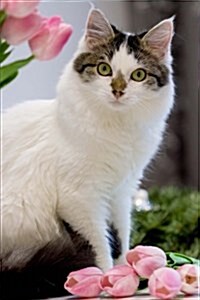 Darling Green Eyed Cat with Pink Tulips Pet Journal: 150 Page Lined Notebook/Diary (Paperback)