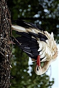 A Stork Preening Her Feathers in the Nest Bird Journal: Take Notes, Write Down Memories in This 150 Page Lined Journal (Paperback)
