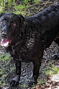 Black Labrador Lab Retreiver All Wet Dog Journal: Take Notes, Write Down Memories in This 150 Page Lined Journal (Paperback)