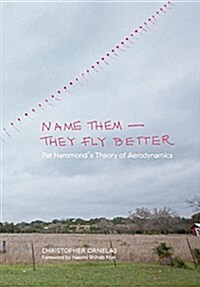 Name Them--They Fly Better: Pat Hammonds Theory of Aerodynamics (Paperback)