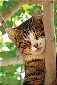 Notebook - Cat Climbing Tree (Paperback)