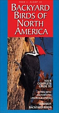 Backyard Birds of North America (Paperback)