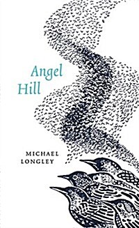 Angel Hill (Paperback)