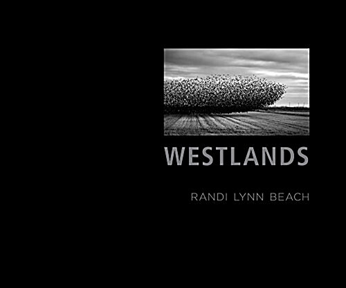 Westlands: A Water Story (Hardcover)