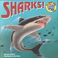 Sharks! (Paperback)