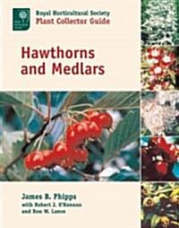 Hawthorns and Medlars (Hardcover)