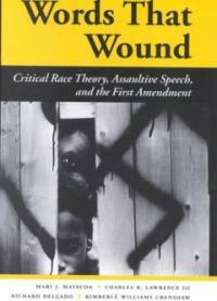 Words that wound : critical race theory, assaultive speech, and the First Amendment