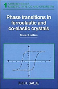 Phase Transitions in Ferroelastic and Co-elastic Crystals (Paperback)