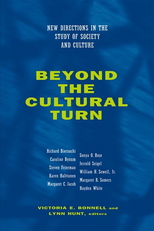 Beyond the Cultural Turn: New Directions in the Study of Society and Culture Volume 34 (Paperback)
