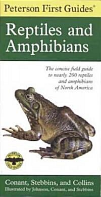 Reptiles and Amphibians (Paperback)