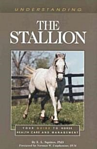Understanding the Stallion (Paperback)
