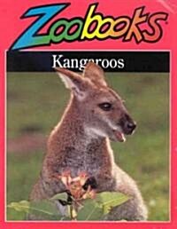 Kangaroos (Paperback)