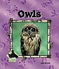 Owls (Library Binding)