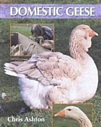 Domestic Geese (Hardcover)