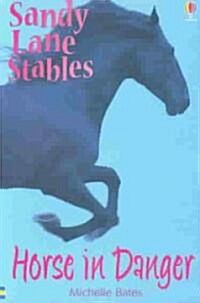 Horse in Danger (Paperback)