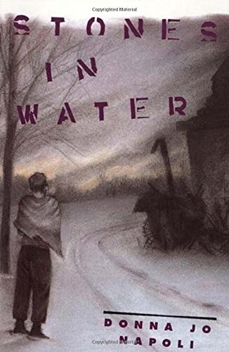 [중고] Stones in Water (Paperback, Revised)