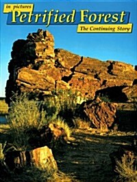 In Pictures Petrified Forest (Paperback)
