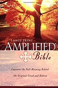 Large Print Bible-AM (Hardcover)