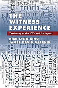 The Witness Experience : Testimony at the Icty and its Impact (Paperback)