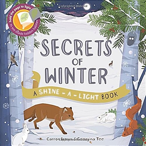 Shine a Light: Secrets of Winter : A shine-a-light book (Paperback)