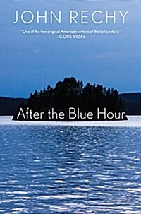 After the Blue Hour (Paperback)