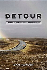 Detour: A Roadmap for When Life Gets Rerouted (Paperback)