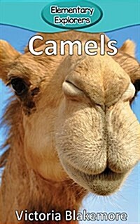 Camels (Hardcover)
