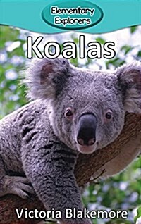 Koalas (Hardcover)