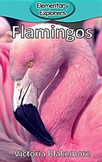 Flamingos (Hardcover)