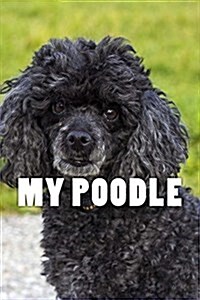 My Poodle (Journal / Notebook) (Paperback)