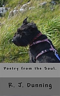 Poetry from the Soul (Paperback)