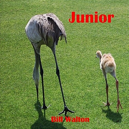 Junior (Paperback)